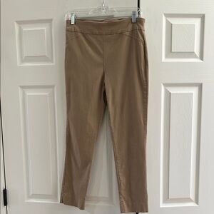 Slim Fit Pants I think chicos.